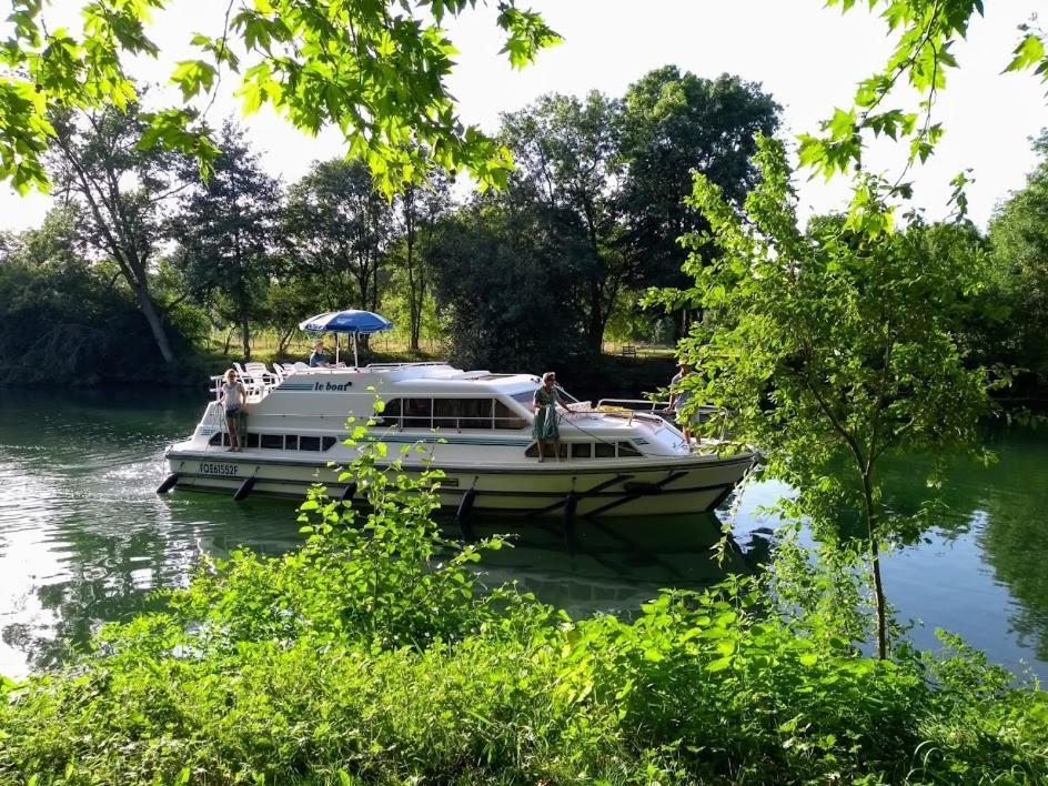 Le Domaine Des Platanes Bed and Breakfast Bourg-Charente Εξωτερικό φωτογραφία