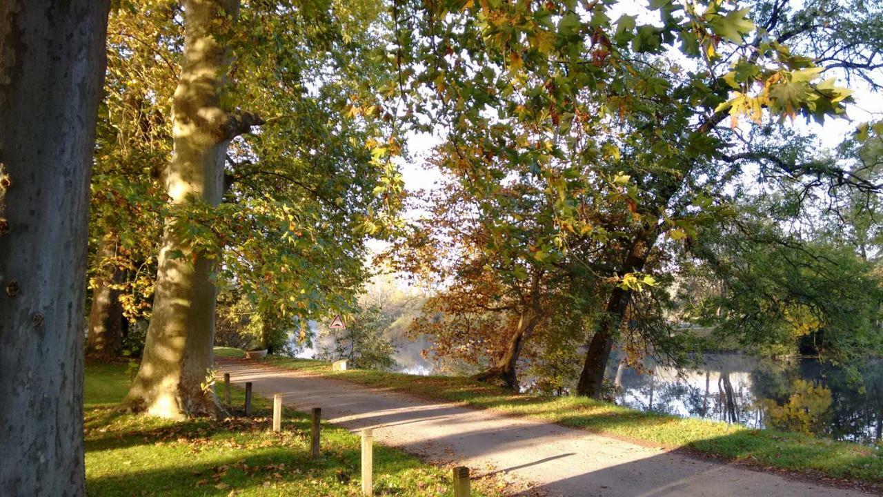 Le Domaine Des Platanes Bed and Breakfast Bourg-Charente Εξωτερικό φωτογραφία