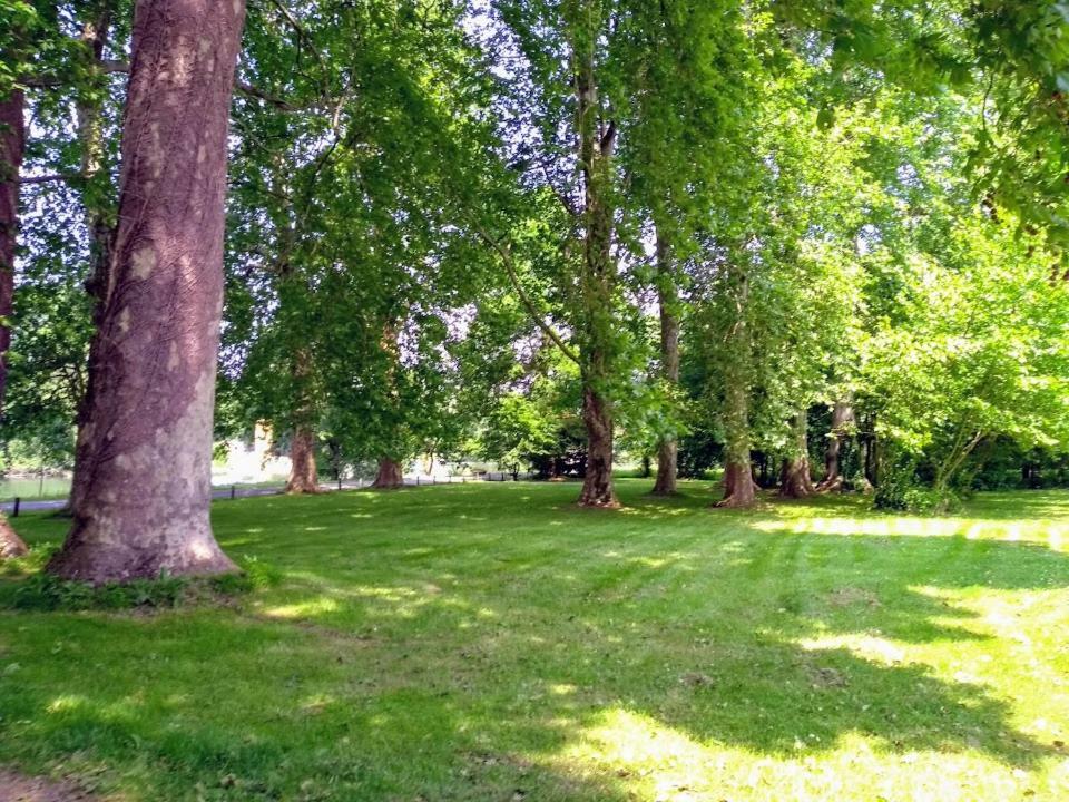 Le Domaine Des Platanes Bed and Breakfast Bourg-Charente Εξωτερικό φωτογραφία