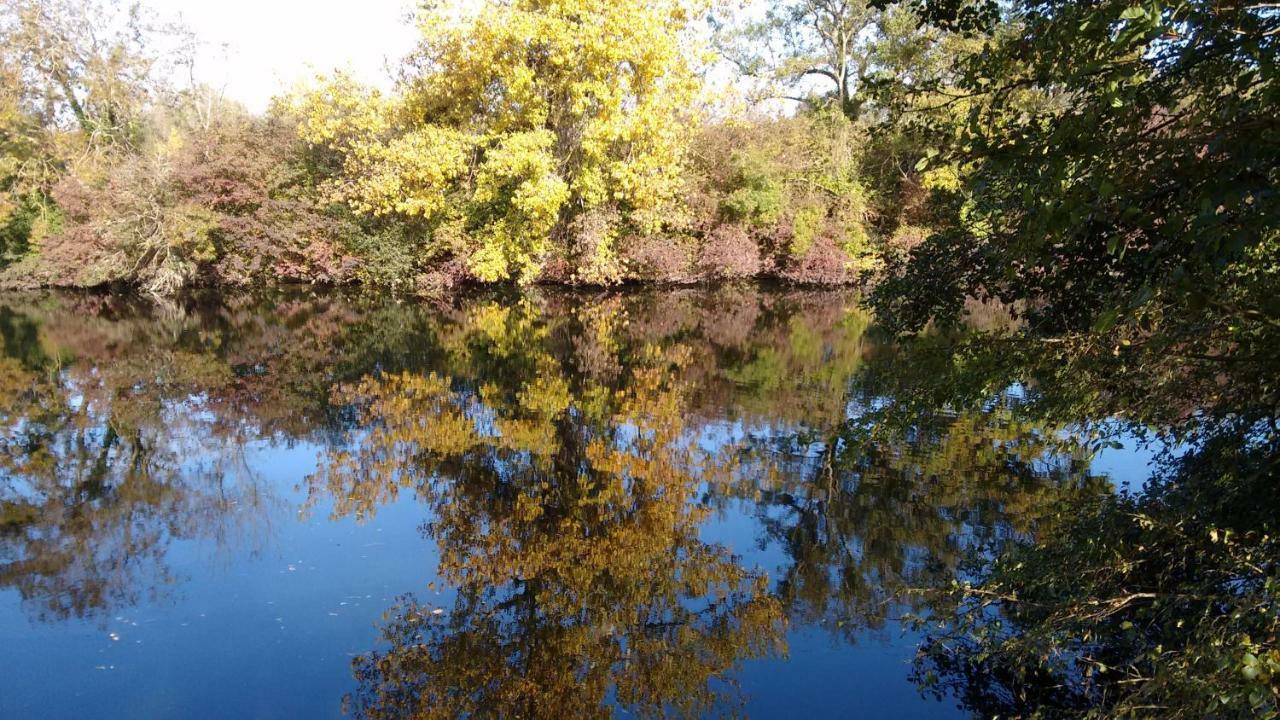 Le Domaine Des Platanes Bed and Breakfast Bourg-Charente Εξωτερικό φωτογραφία